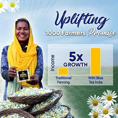 BLUE TEA BLUE TEA - Blue Mango Matcha - 50gm | FRUITY DELIGHT | Anti-Oxidant Rich - Caffeine Free | Flower Based- Herbal Tea - All Natural Ingredients - Non GMO - Vegan | Premium Tin Packaging