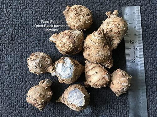 Generic PUSPANJALI HERBALS Kali Haldi, Black Turmeric, , Kali haldi for puja, Black Turmeric for Pooja