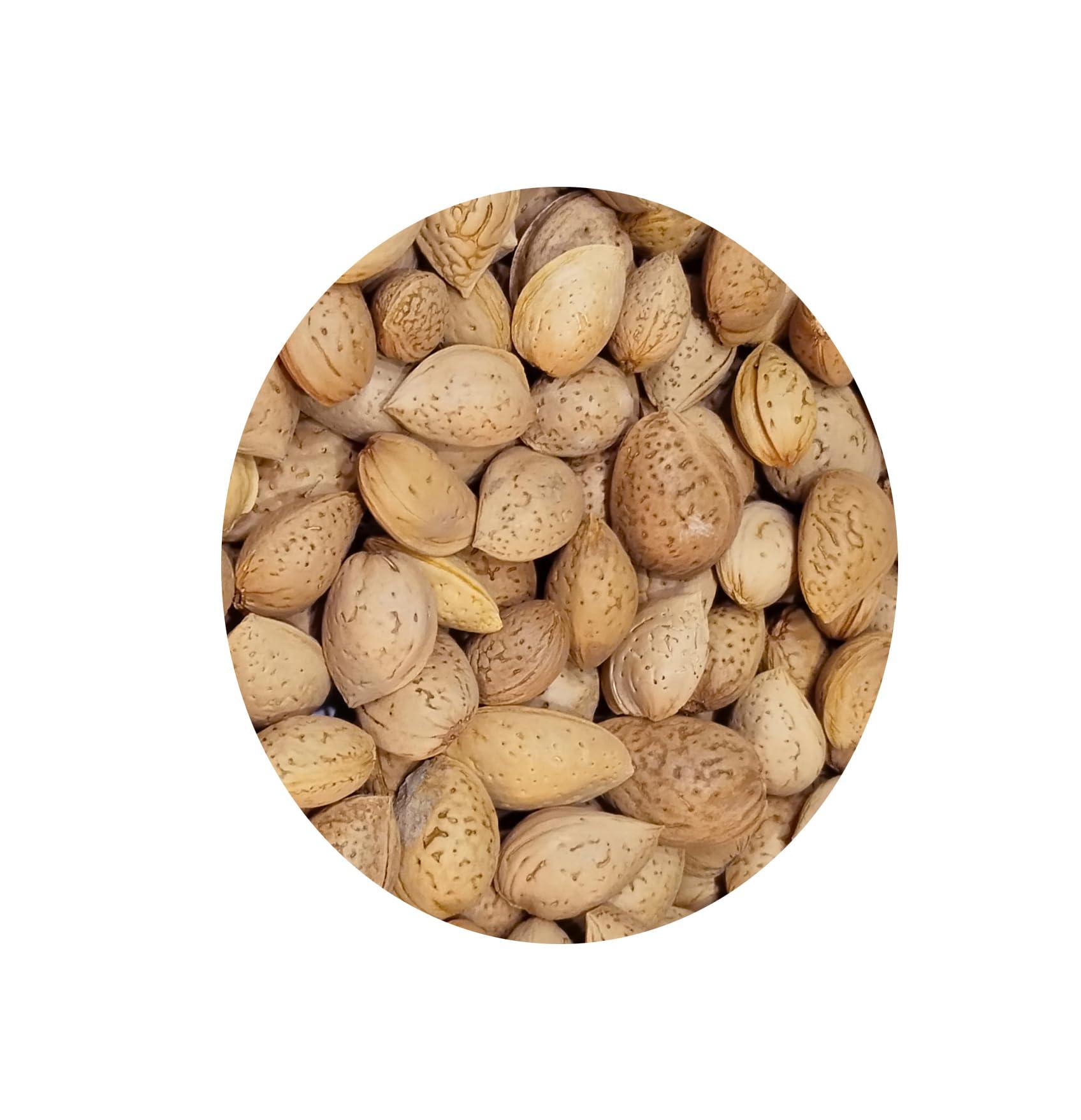BELLANUTS BELLANUTS Gurbandi Almond Whole (400g) | Gurbandi Badam Sabut | Hardest Almonds | Pure Gurbandi badam