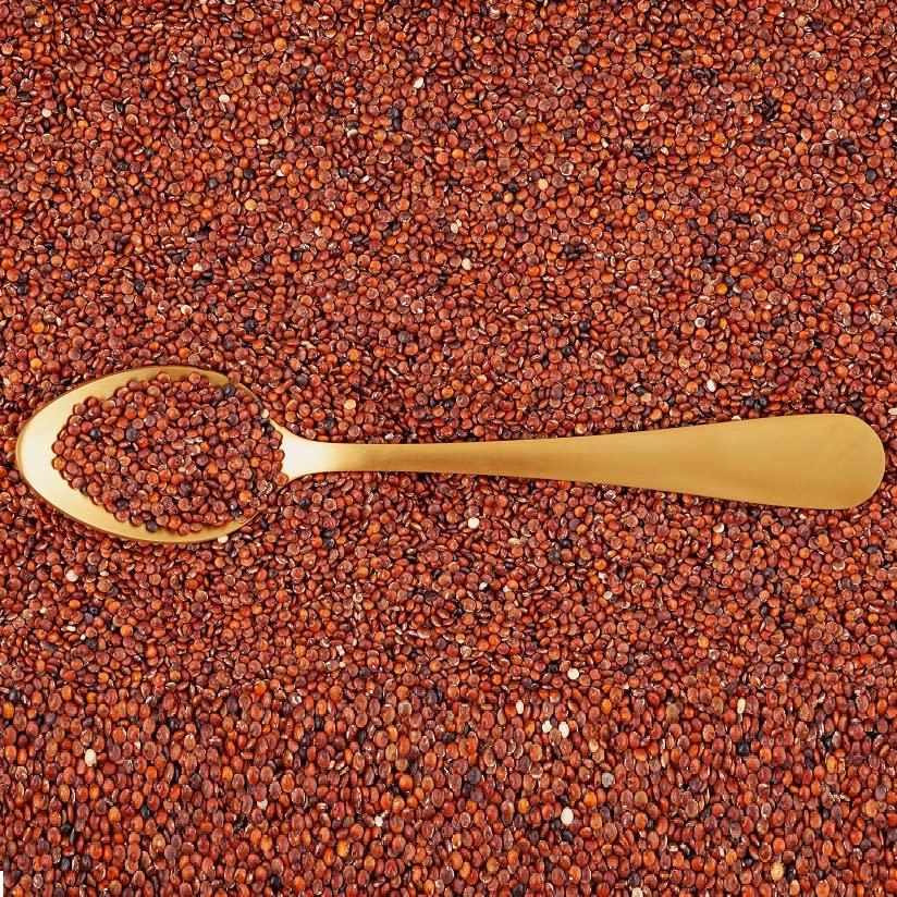 Veganic Veganic Ragi Edible Seed | Finger Millet | Whole Grain | Kelvaragu | Nachni | Ragulu/Aariyam/Maduva/Panji Pullu (1800)