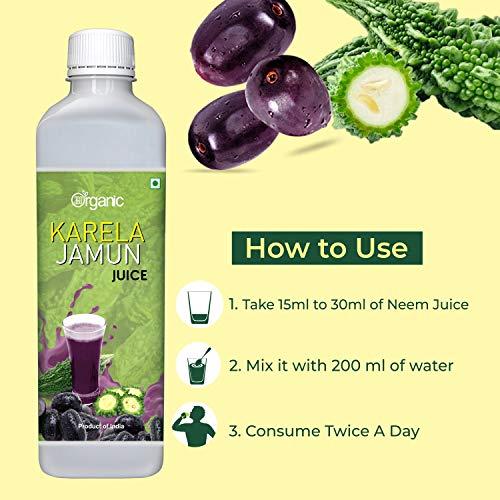 360 Degree Organic 360 Degree Organic Karela Jamun Juice for Controls Blood Sugar Levels | Fights Cholesterol | Helps Improves Digestion | Helps Build Immunity | Skin Wellness - No Added Sugar - 500 ml (Pack 1)