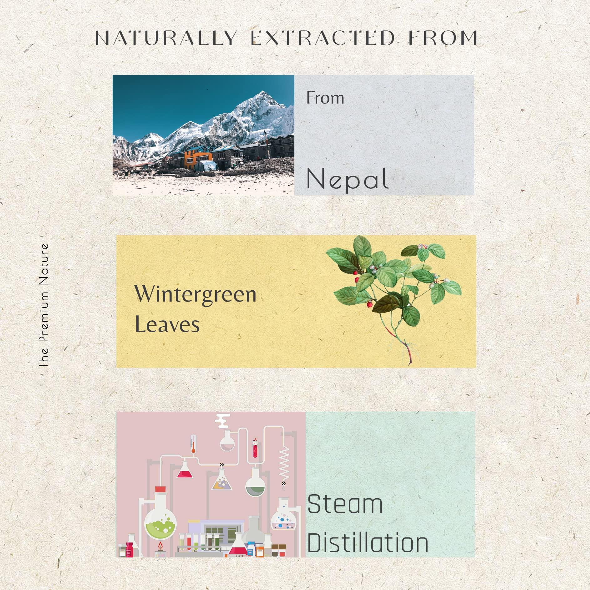 THE PREMIUM NATURE The Premium Nature Wintergreen Essential Oil for Diffuser | 100% Natural | Wintergreen Oil for Skin, Hair & Candle Making | Refreshing, Crisp & Woodsy Scent, 10 mL