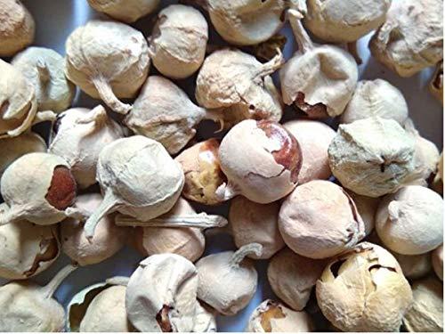 Nutrixia Food Paneer Doda/ / Paneer Dodi/Withania Coagulans/Paneer phool/ (250 Gms)