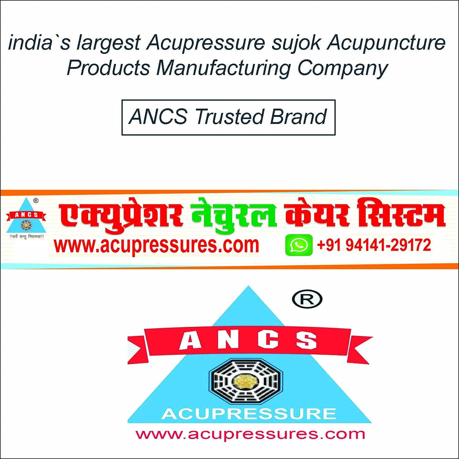 ANCS ANCS Sujok Acupressure Needle Inserter with Sujok Needle (Total Set of 50 Needles)