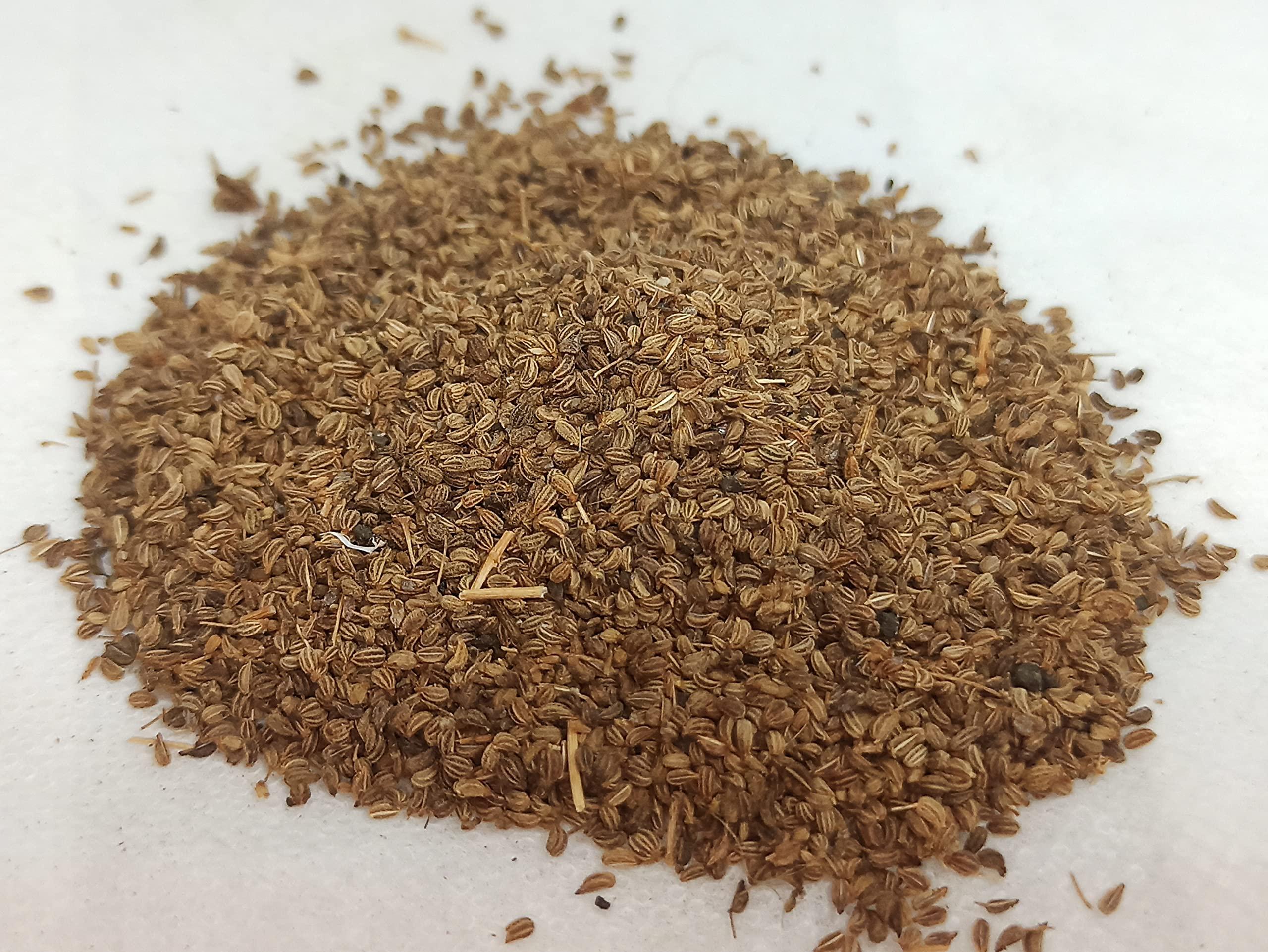 Generic NATURALIFES-*OMAM*- / Ajowan Caraway Dried / I Trachyspermum Roxburghianum I / Khurosani OMAM I / Khurosani Ajowan Seeds I Ayamodakam (250 Grams)