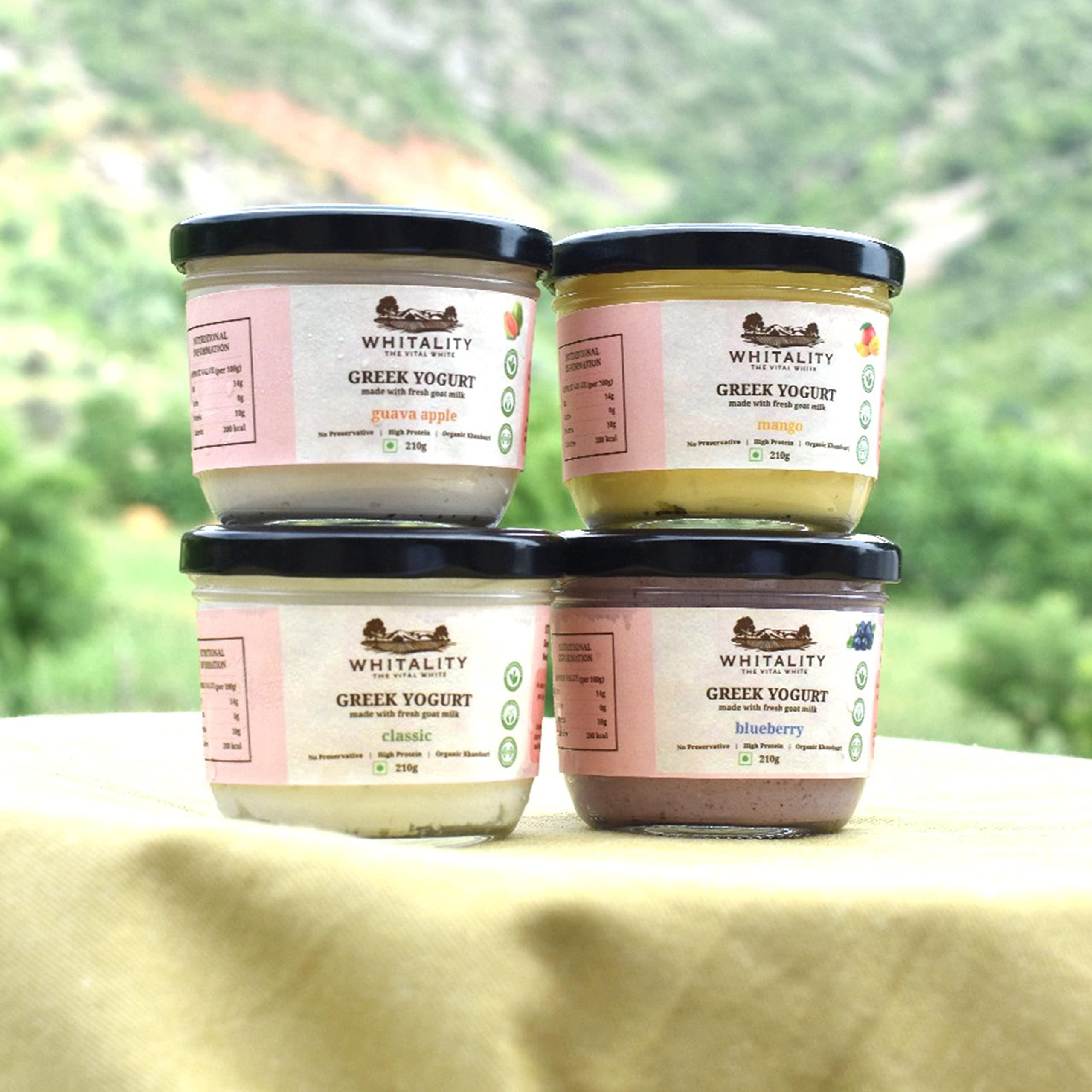 WHITALITY Whitality Greek Yogurt | Made with Free Range Goat Milk | No Preservatives | Natural processing | Good for lactose intolerant | improves gut health | Glass Jar Packaging | 210gm | Blueberry