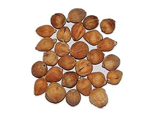 Generic Neeraj- Sreephal/Laghu Nariyal -21 Pc for Pooja