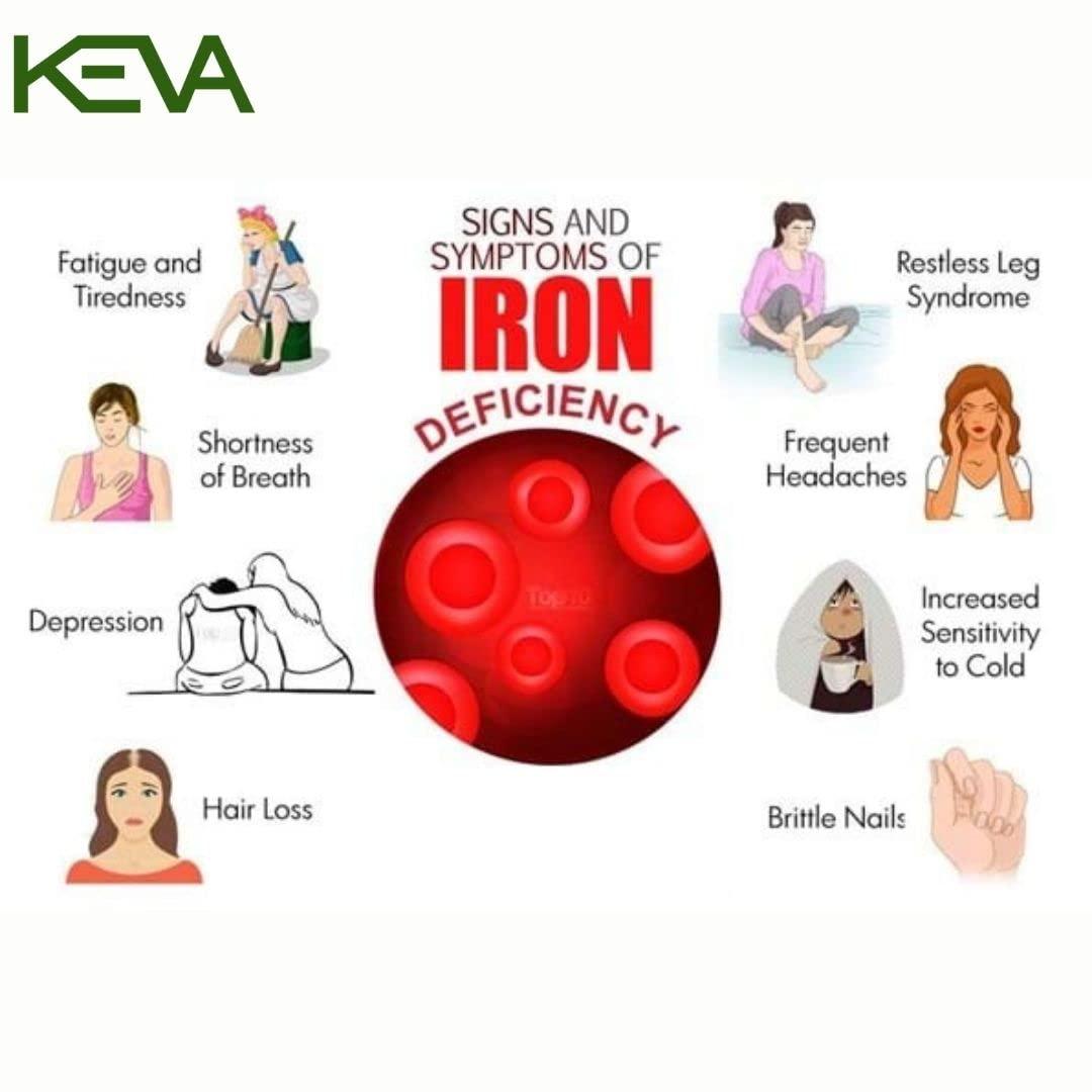 KEVA Keva Iron (HB) Tonic Syrup Ayurvedic Iron Tonic Syrup Extract of Amla, Ashwagandha, Shatavari, Arjuna, Purnava, Bhringraj, Brahmi, Tulsi, & Shankhpuspi - Increase Iron for Men & Women 100ml