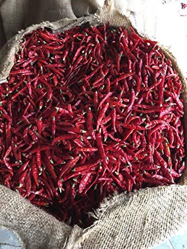 Kitchen Jungle Kitchen Jungle Mathania Red Chilli (Lal Mirch sabut) Whole Chillies 400gms