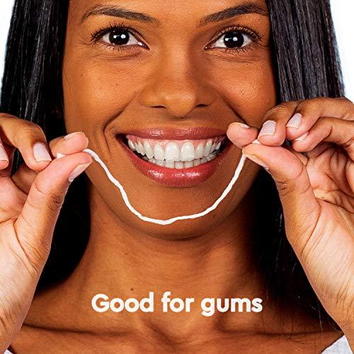 RADIUS RADIUS Vegan Floss Sachets with Natural Xylitol, Cranberry, 20 Count