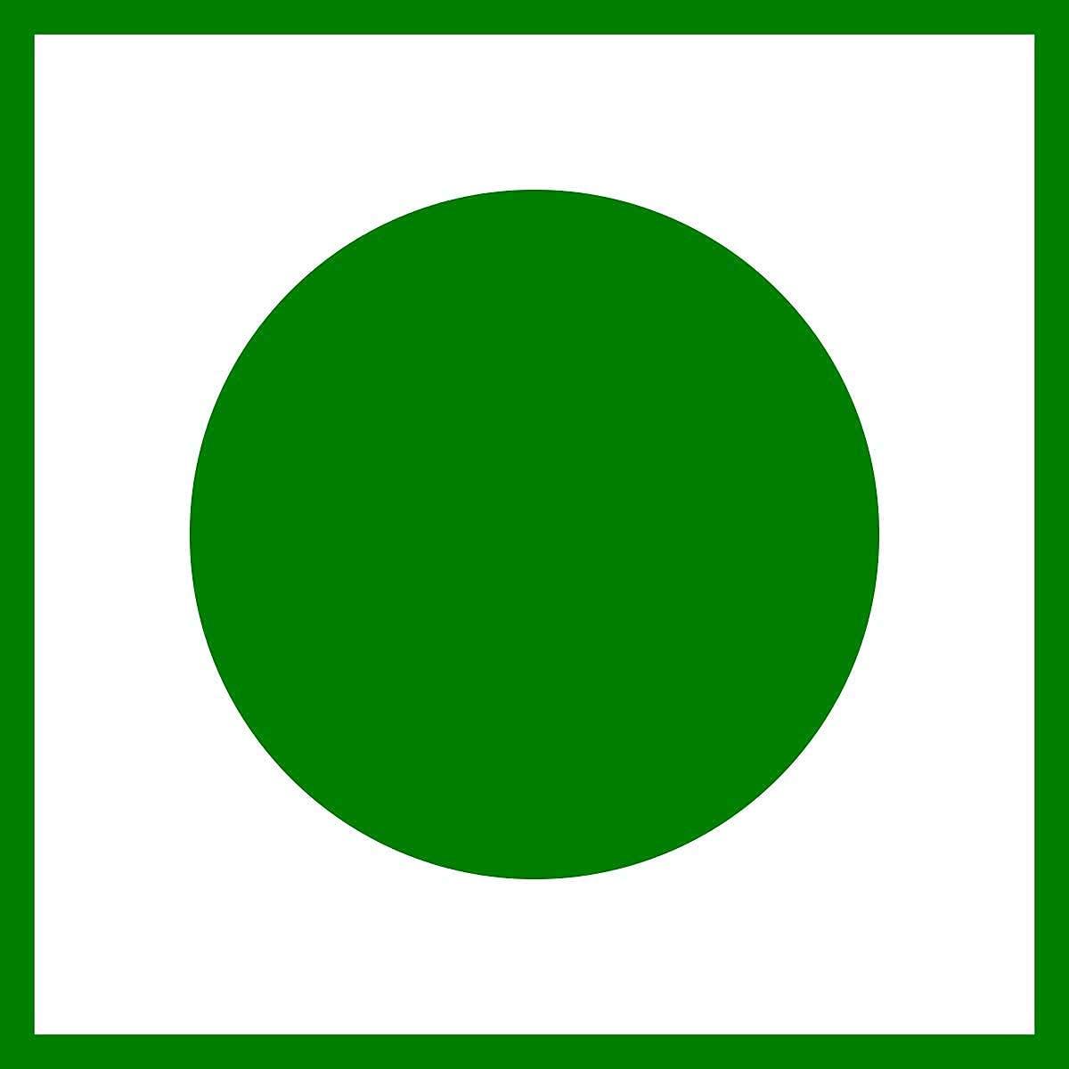 THAGGU THAGGU Gujarati Style Big Bhakarwadi Snacks (Crunchy, Light and Flavourful)| 250 Gm Pack BHAKARWADI | Indian Namkeen