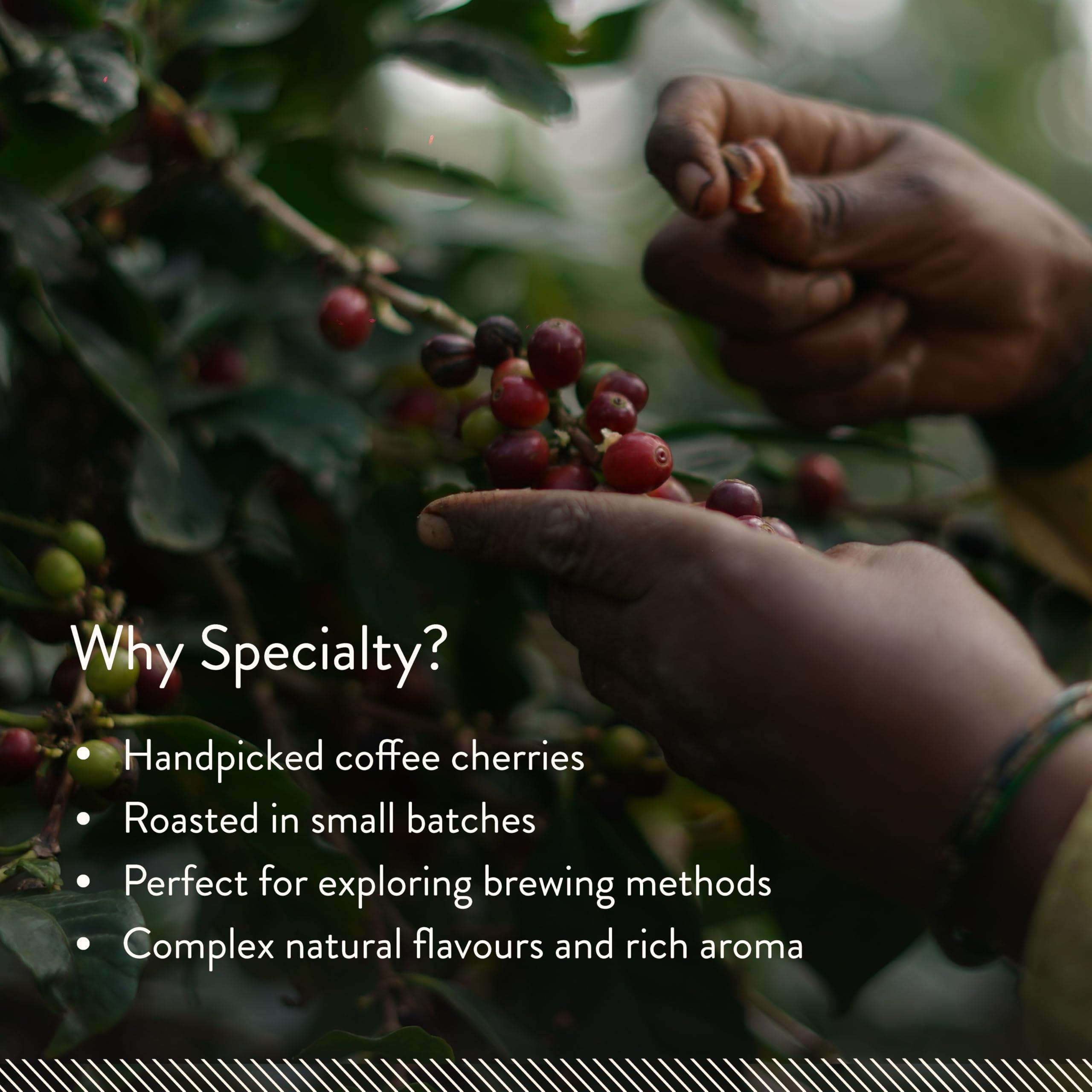 Blue Tokai Coffee Roasters Blue Tokai Coffee Roasters Baarbara Estate - Medium Dark Roast (South Indian Filter Grind) 500g | Made With 100% Specialty Grade Arabica Freshly Roasted Ground Coffee, Bag