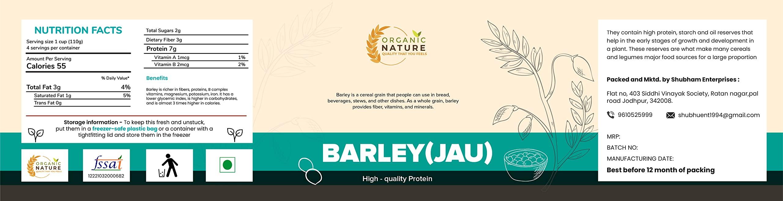 ORGANIC NATURE Organic Nature Raw Barley Seeds (Jau) 400 Grams Barley Grain