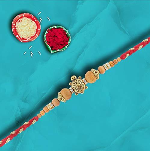 El Diablo Sauces EL Diablo Hot Red Chili Sauce Premium Gourmet Gluten Free Fresh Natural Ingredients 100% Vegan Momos Fried Rice Hakka Noodles Flavor Hot Chilli Spicy Sauce 240g Bottle