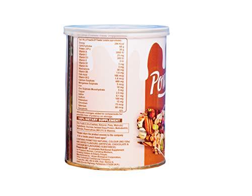 Nectar Nectar Powertin DF (Dry Fruits) 200 gm Protein Powder - Pack of 2