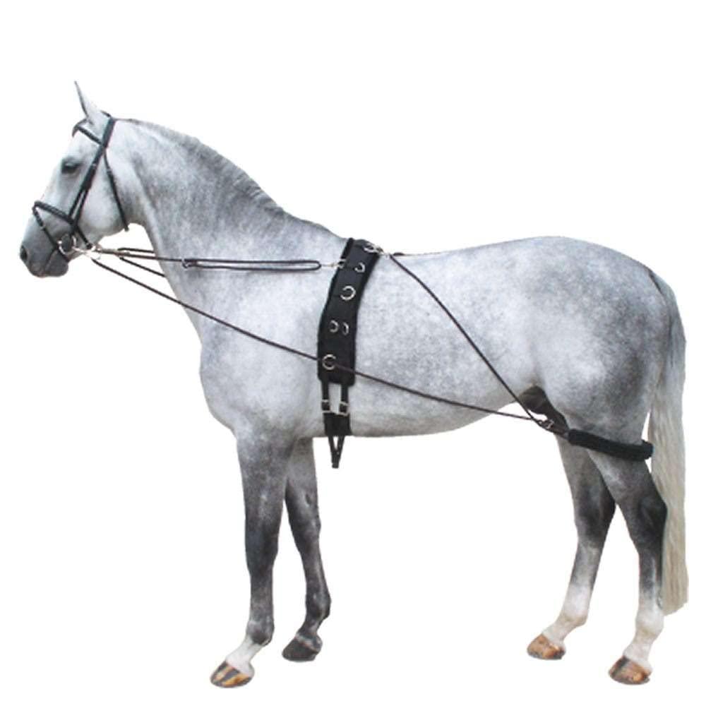 AMARYLLIS AMARYLLIS Corainder/Dhaniya Powder(Hand-Pounded), Natually Processed & 100% Organic with Zero Added Flavours & Colors(Chemical Free) | Rajasthan Special |250 grams