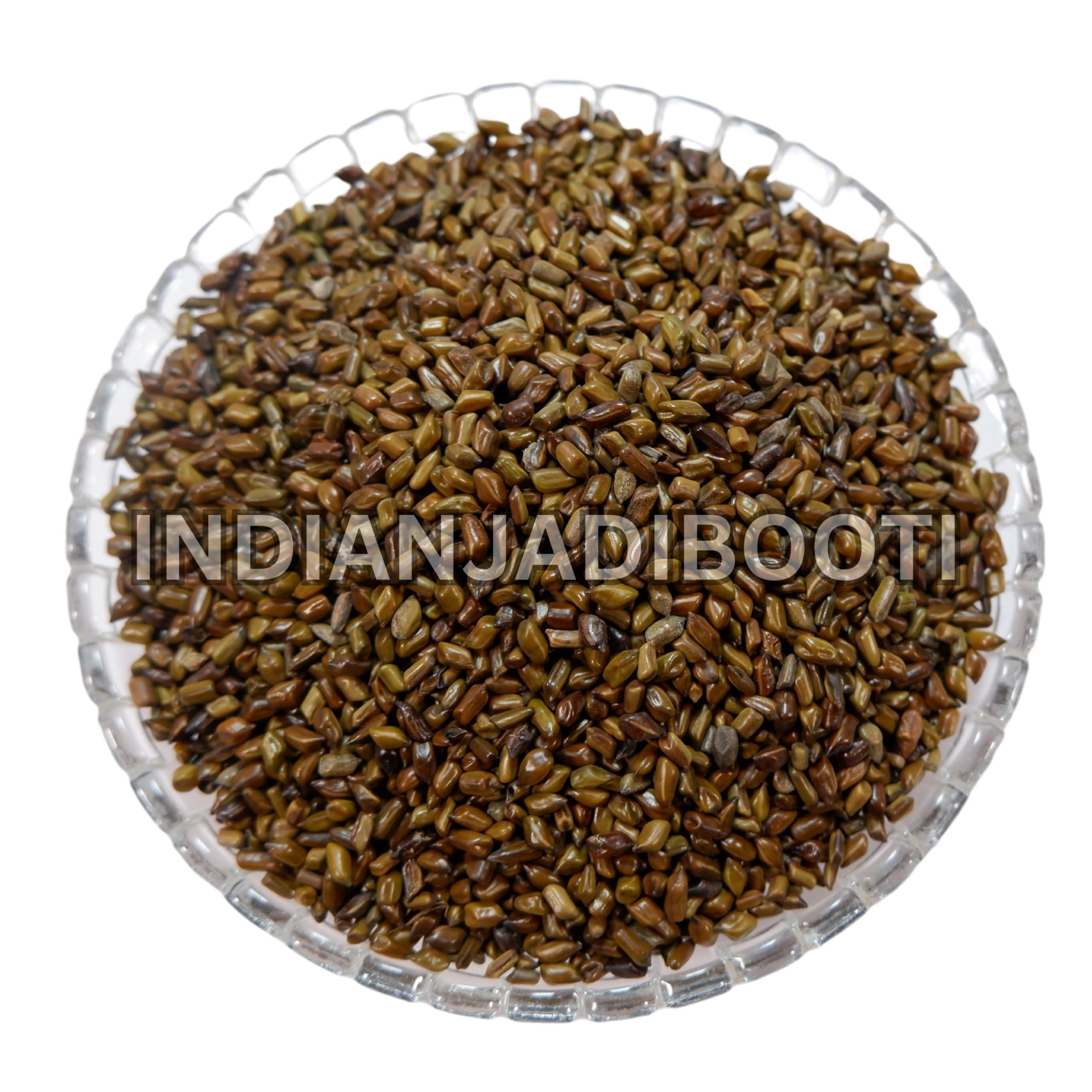 IndianJadiBooti IndianJadiBooti Puwar Cassia Tora Chakramarda Seeds, 400 Grams Pack
