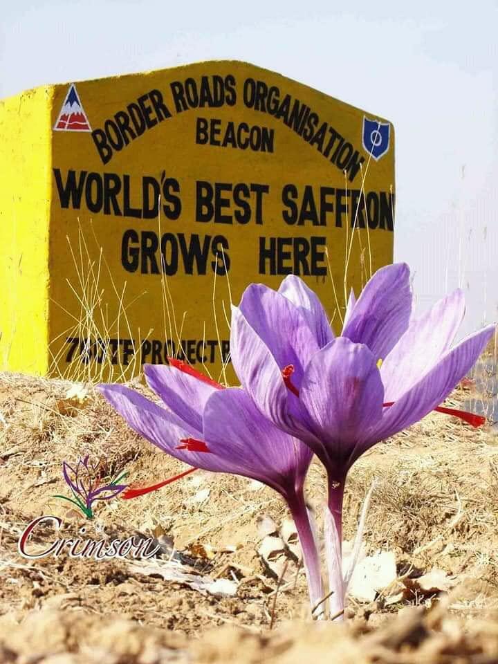 Noor Brand Saffron Noor Brand Saffron (5 Gm Pack)