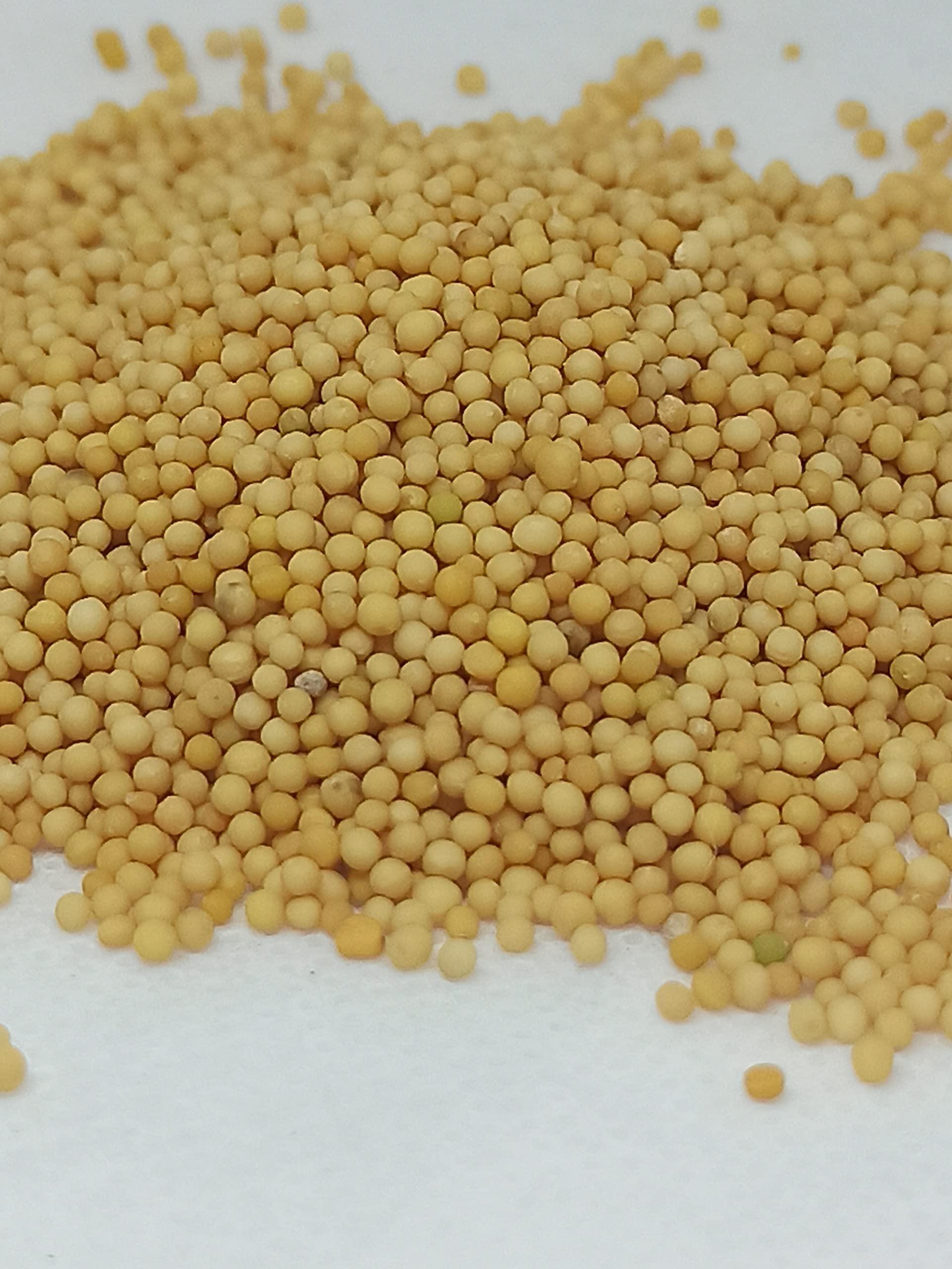 Generic NATURALIFE\'S-*VEN KADUGU*-YELLOW MUSTARD SEEDS RAW/ (250 GRAMS)