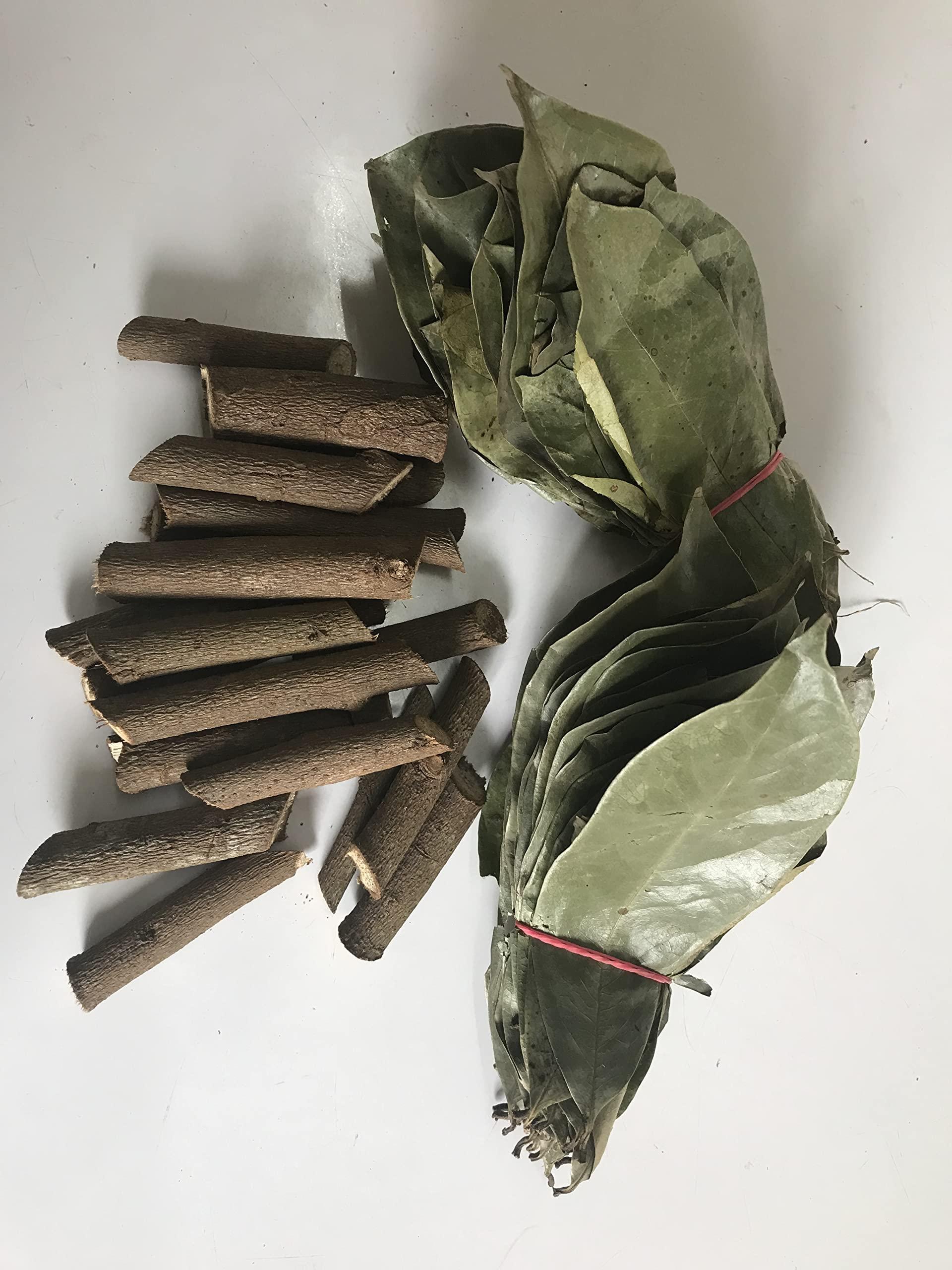 abamec Natural Graviola Soursop Guanabana shadow Dried 250 Leaves + 100 grams Soursop tree stems. (With printed preparation Instructions)
