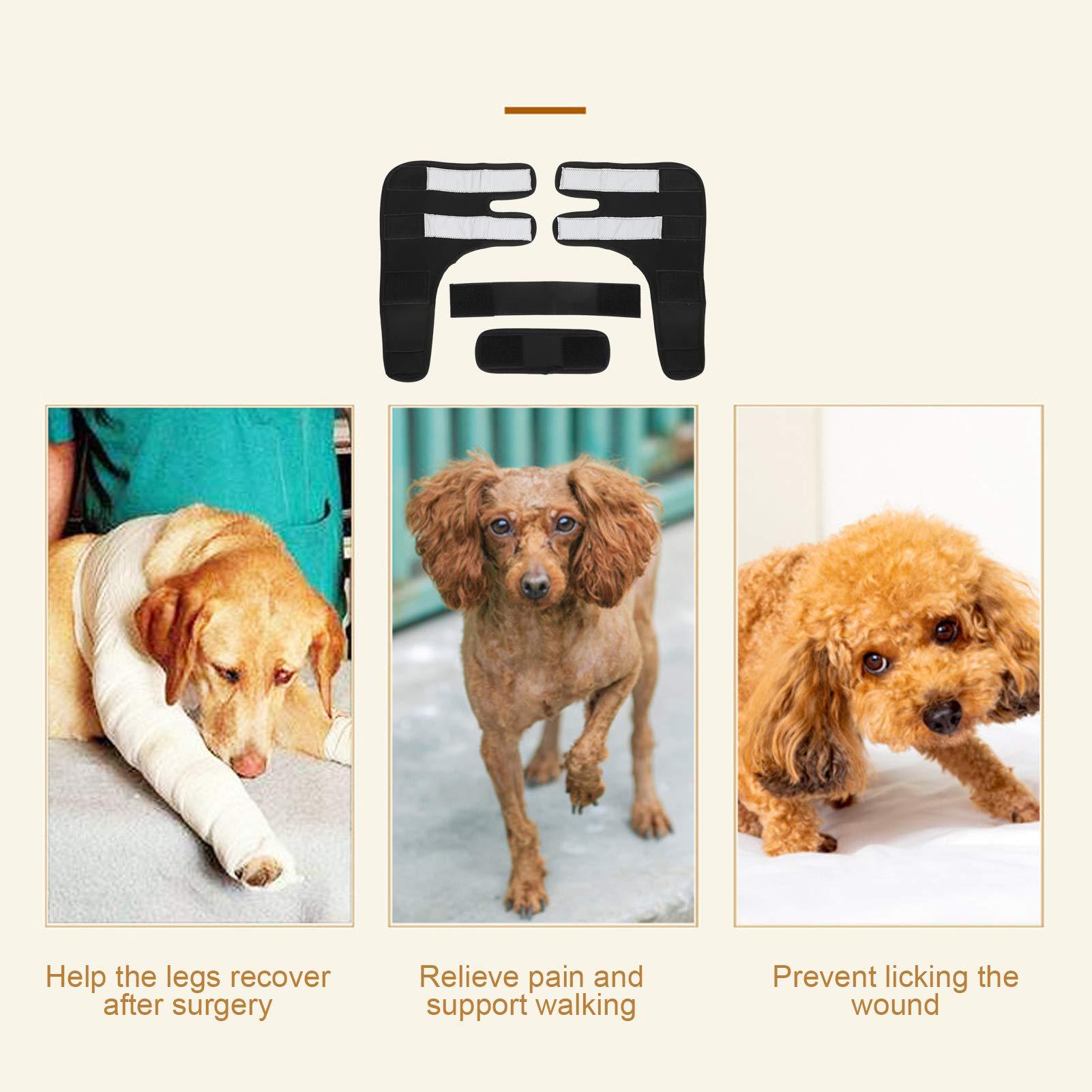 HUI Pet Elbow Support Wrap, Dog Elbow Brace Surgical Joint Protection Recovery Dog Elbow Protector Leg Brace Sleeve for Walking Support(M, Black)