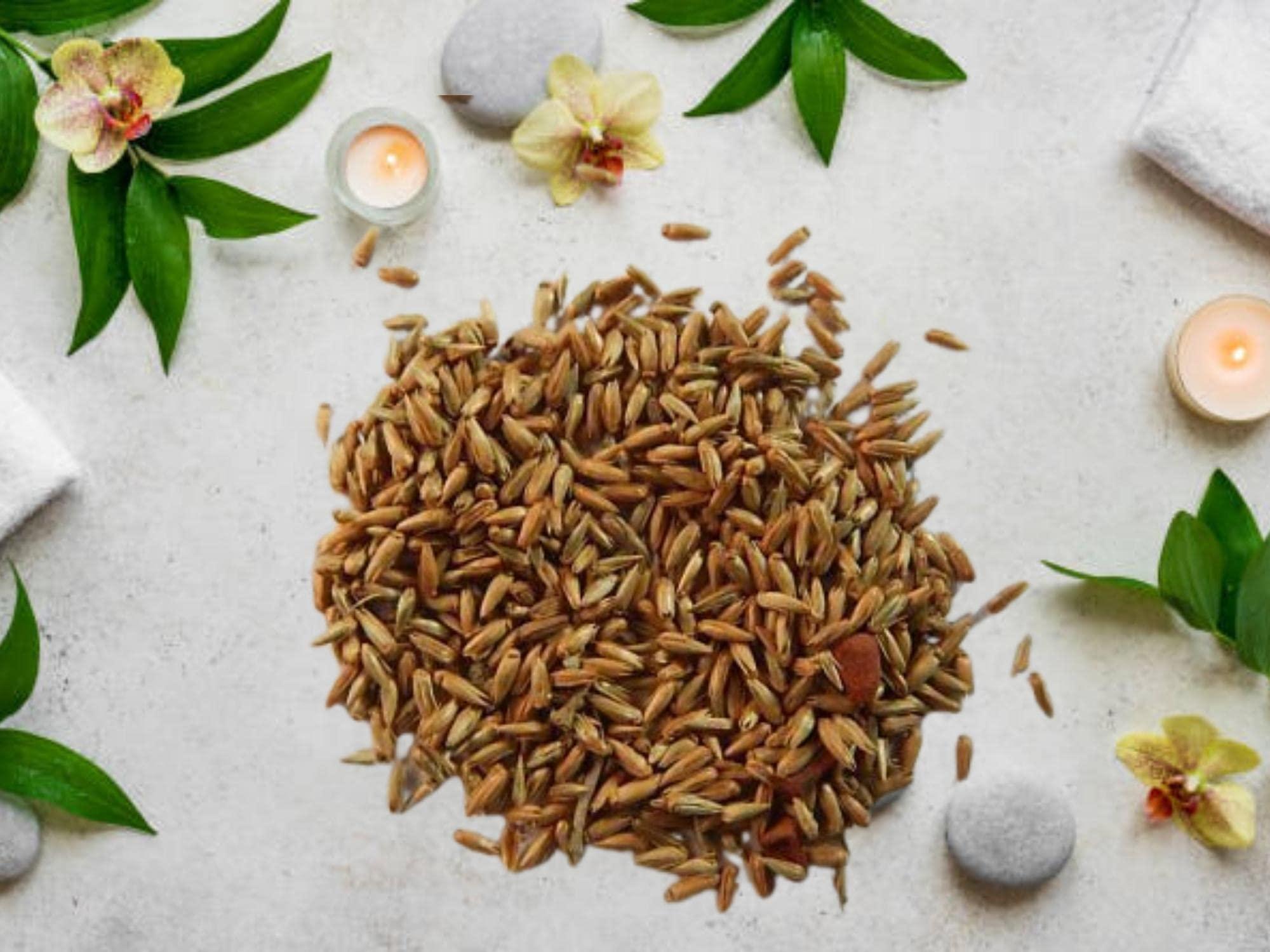 Generic Apamarg Seeds-Achyranthes Aspera-Raw Herbs-Latjira Beej-Uttareni Seeds-Chirchita-Jadi Booti-Single Herbs (100 Gram)