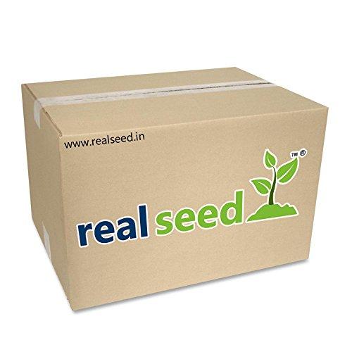 REAL SEED Real Seed Pure Kashmir Saffron/Kesar/Keshar for Puja and Tilak- 1/2 gm (Pack of 1)