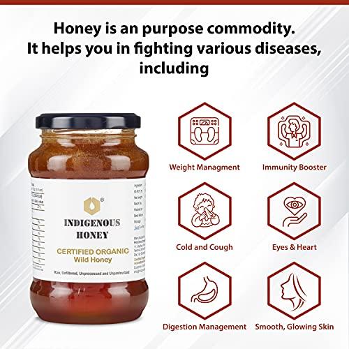 INDIGENOUS HONEY INDIGENOUS HONEY Raw Organic Honey Unprocessed Unfiltered Unpasteurized Pure Natural Original Honey - 530 Grams Glass Jar (Pack of 2)