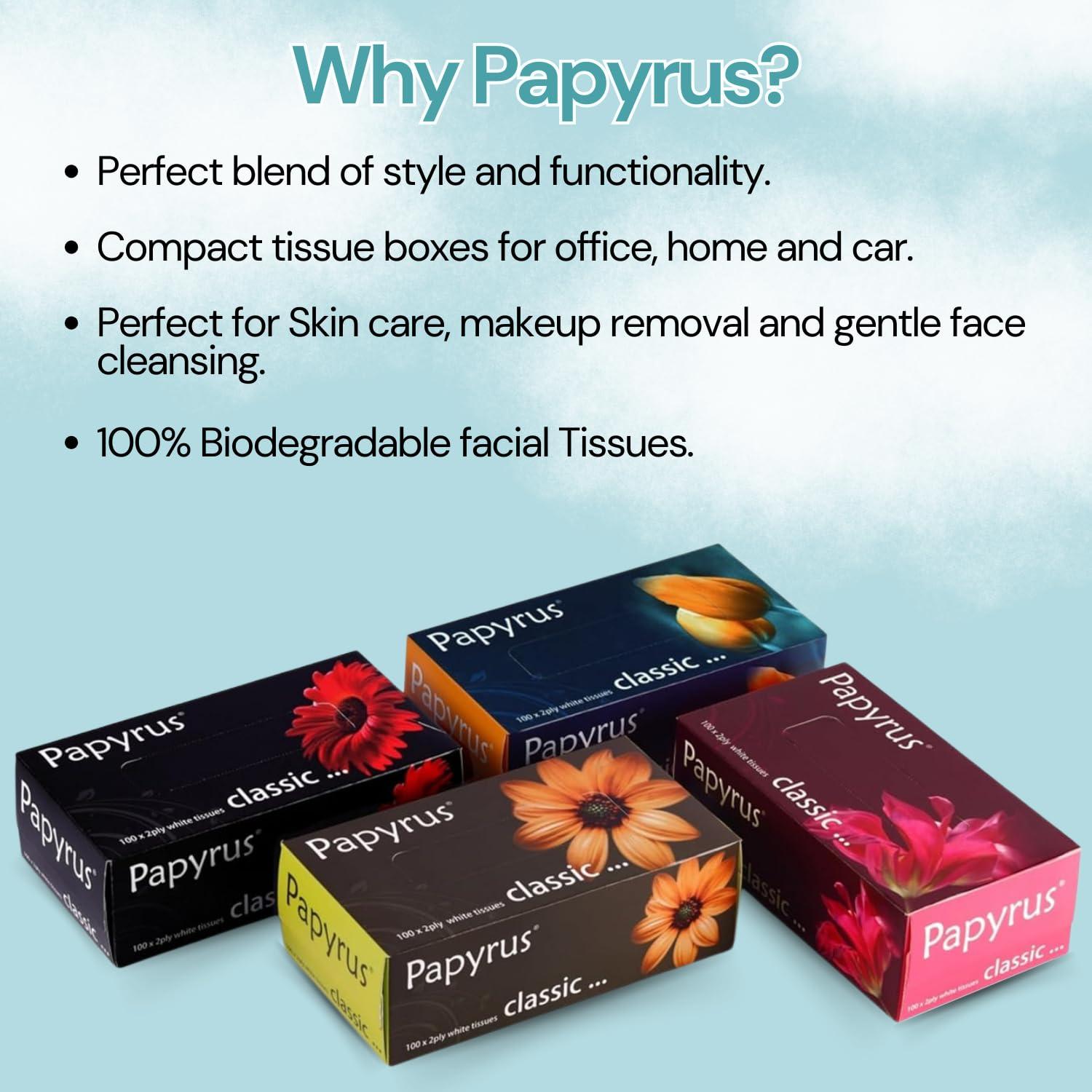 Papyrus PAPYRUS Facial Tissue Papers | Face Tissue Paper Box | Car Tissue Face Wipes | Face Tissue For Women | Napkin Tissue Box Soft | Facial Tissues Wipes Face (100x 2Ply-200 Sheets/Pack- 4 (800 Sheets)
