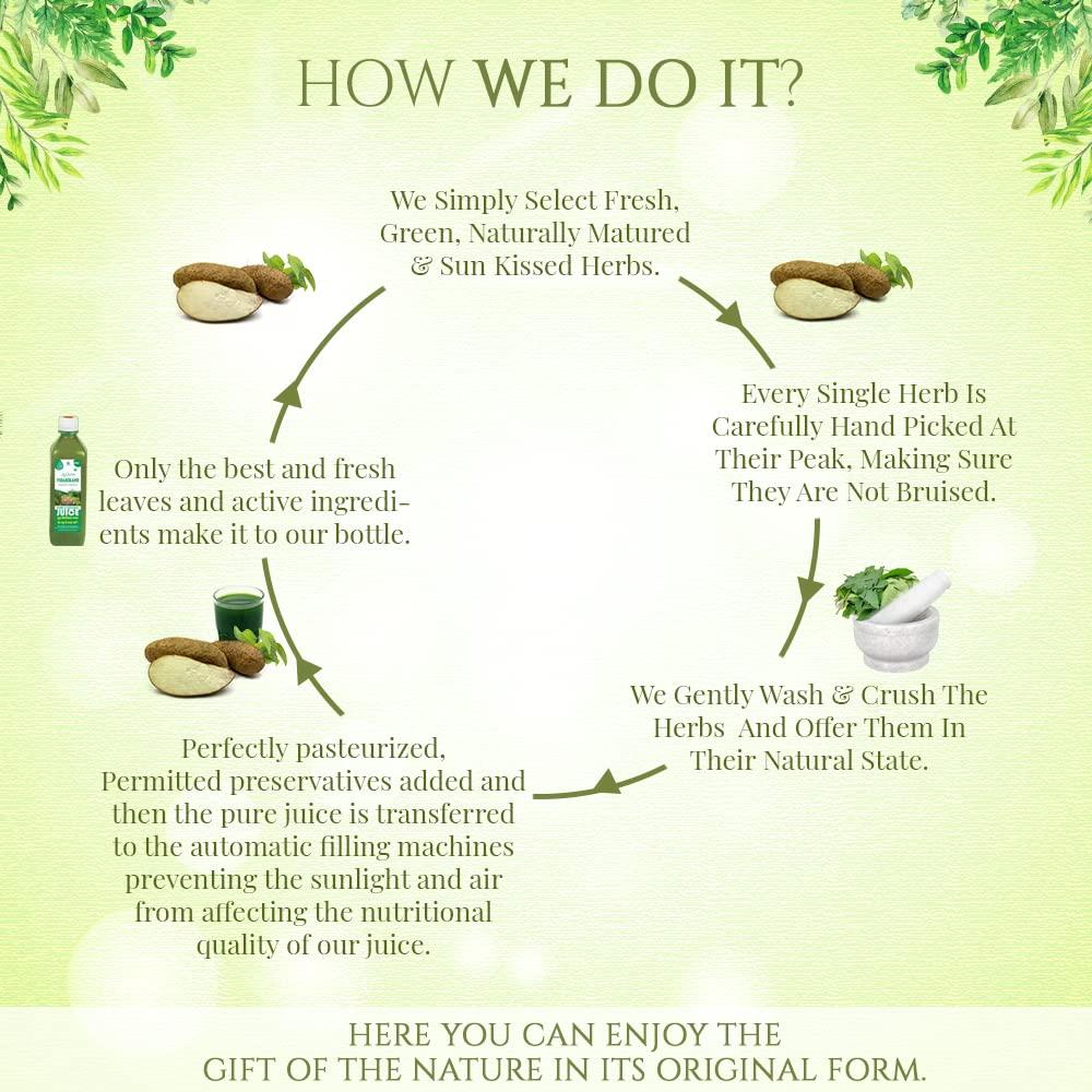 JEEVAN RAS Jeevan Ras Vidarikand Juice | Breast Feeding Supplement | Helps to Increase Breast Milk Supply | Enriched with Vidarikand Herbs | 500mL