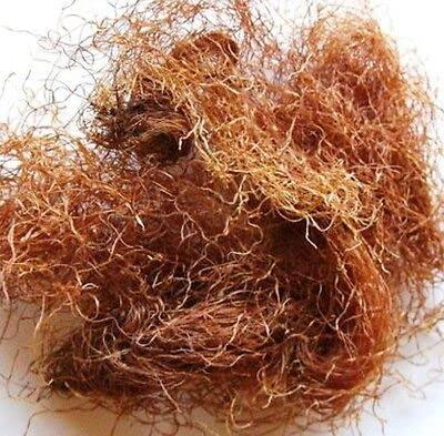 GABHISMEEN GABHISMEEN Corn Silk Tea for Kidney Stones, Helps Cleanse Liver, Supports UTI Health, Maize Hair, Herbal Tea (450gm)