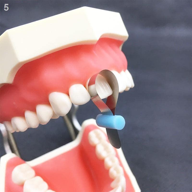 InstruDent InstruDent EiTi Automatrix Metal Bands With Locker