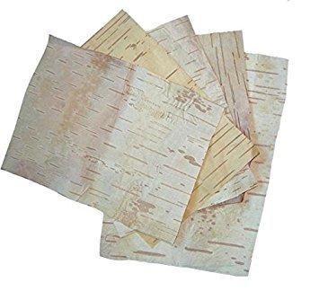 SWASTI35 SWASTI35 Betula Utilis/Bhojpatra Leaf/Bhurjjamaram/Purchcham/Bhujapatram/Bhujaatri/Bhuyapatra/Bhurj/ - 5 Pcs