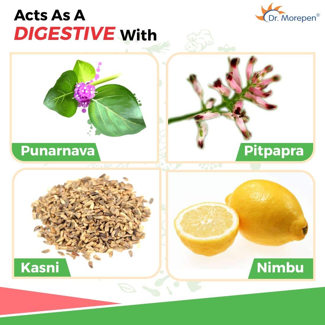 Dr. Morepen DR. MOREPEN Liv Healthy Liver Tonic For Healthy Liver & Digestive Support | Ayurvedic Liver Detox Syrup - 200ml