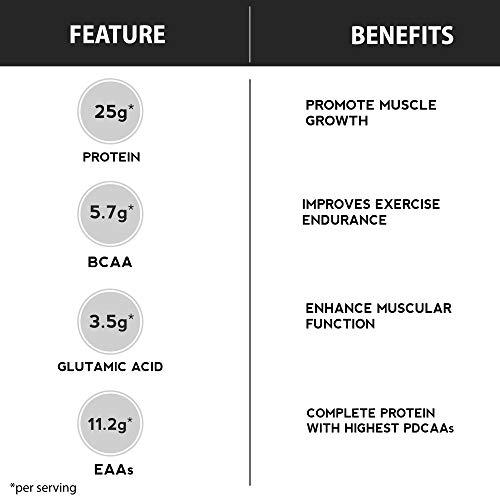 Six Pack Nutrition Six Pack Nutrition Whey Protein Powder, with 25 g of Protein Per Serving and More Than 5.6 g of Naturally Occurring BCAAs (1 kg, Choco Caramel)