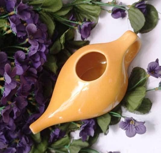 WITSOUL Jal Neti Pot for Sinus Congestion and Nasal Cleansing Nasal Cleansing Non-Corrosive Unbreakable Hygienic Smooth Nose Tip Snugly Fits Any Nostril with Cleaning Brush (stainless steel (silver))