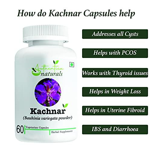 Authentica naturals Authentica naturals Kachnar Capsules | Bauhinia variegata | Reduces Thyroid Issues | Removes Mouth Ulcers & Bad Breath | Improves Liver Functioning | 850 mg (60 Vegetarian Capsules)