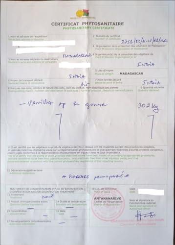 Natural or Nothing Gourmet Vanilla Beans from Madagascar | 40 Grams (8-10 Beans) | Super Premium Grade A+ (15+ cm) Pods | Sticks | For Baking, Extract, Cooking, Ice Cream, Coffee Brewing