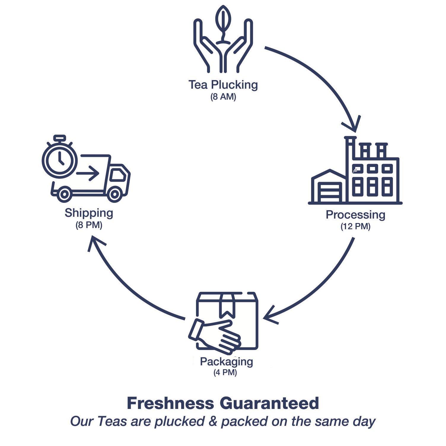 Dharmsala Tea Company Dharmsala Jasmine Oolong Tea, Chinese Style Oolong Tea, Himalayan Whole Leaf Oolong Loose Tea with Jasmine, 25g, Freshly Packed at our Plantations in Dharmsala