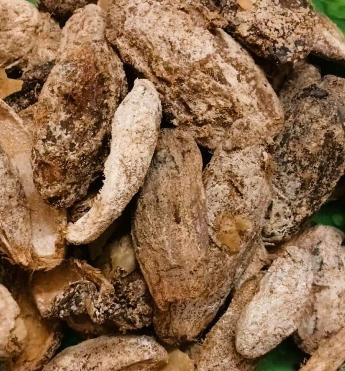 NABARNA NABARNA Ambula Dried Salty Mango(200g) - Premium Handmade Vegetarian Snack with Sweet and Salty Flavors - Pure Homemade Taste - Ideal for On-the-Go Snacking and Gatherings