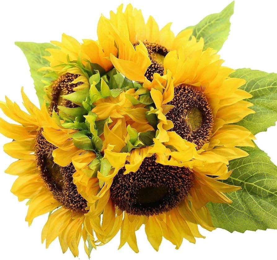 Generic Russian gaint sunflower seeds Pack of 50 Pcs