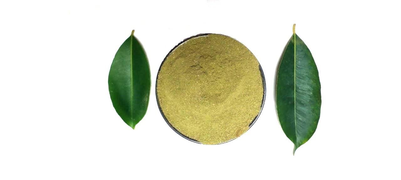 Li6 Li6 jamun leaves powder - 100 gram - Jamun Ke Patte, Patti, Patta ka Powder - Jamun Leaf Powder