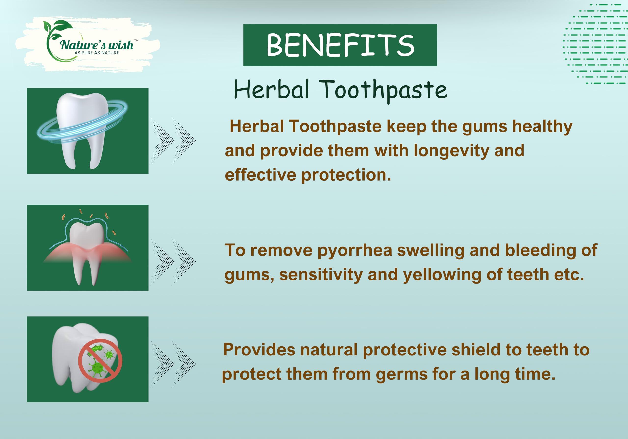 Nature\'s wish Nature\'s wish Herbal Toothpaste (Fluoride, SLS, SLES & Paraben Free)