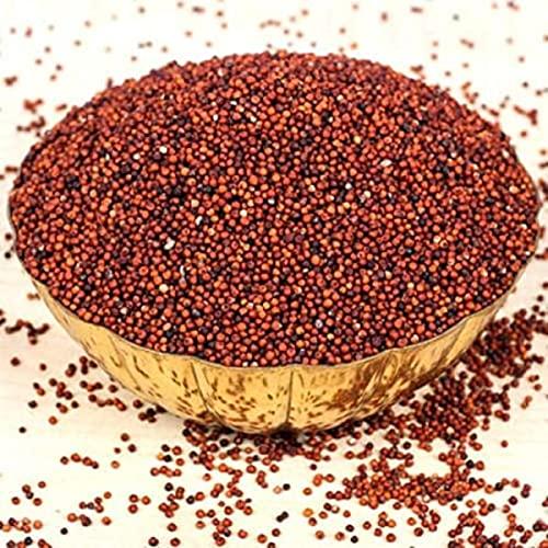 Veganic Veganic Ragi Edible Seed | Finger Millet | Whole Grain | Kelvaragu | Nachni | Ragulu/Aariyam/Maduva/Panji Pullu (1800)