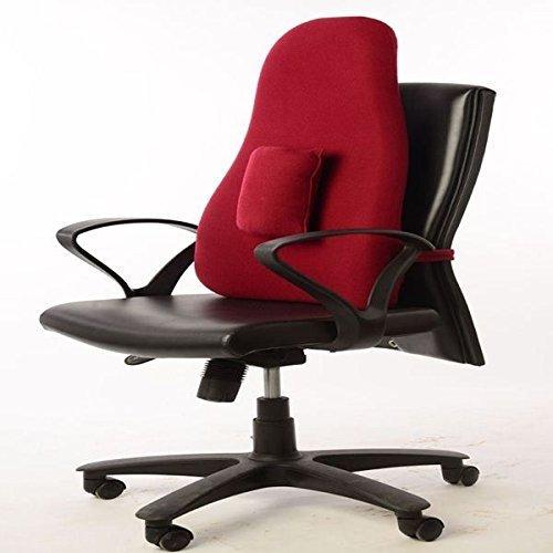 Viscco Orthopedic Back Support for Back Pain posture Long 0108