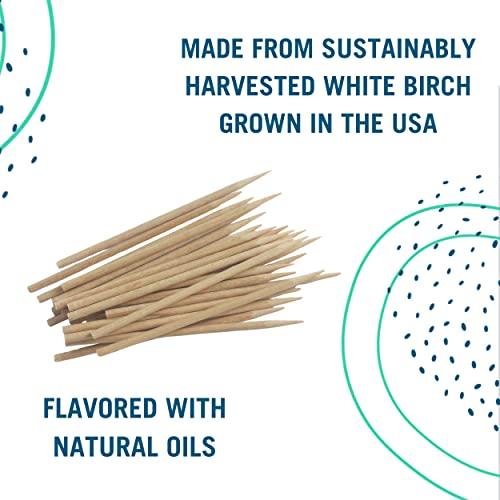 Preserve Preserve Flavored Toothpicks, Mint Tea Tree, 3 Count