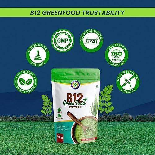 Vichip B12 Green Food Powder 100 gms | 100% Natural Plant Based Vitamin B12 Supplement for Men & Women | No Preservatives