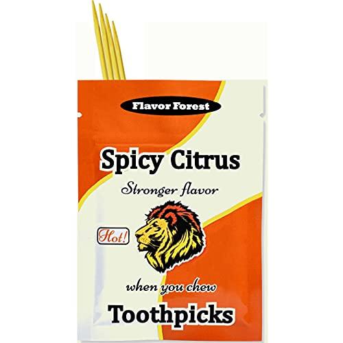 Flavor Forest Spicy Citrus Flavored Cinnamon Toothpicks - 100ct