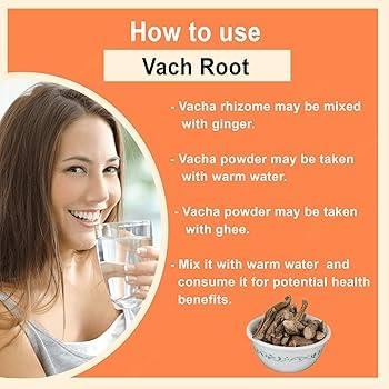 neotea Neotea Vasambu Vacha Root | Sweet Flag Acorus Calamus | Vayambu | Dried Root Herbal Supplement | Natural Sweet Flag Sambu Calamus | Vacha Acorus Calamus | Ayurvedic Remedy | 100% Pure & Organic 300 GM