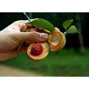 A2 Masala A2 Masala Nutmeg Jaiful Powder 100 gm